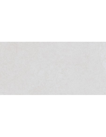 REV 30X60 ARG MISTERY WHITE        