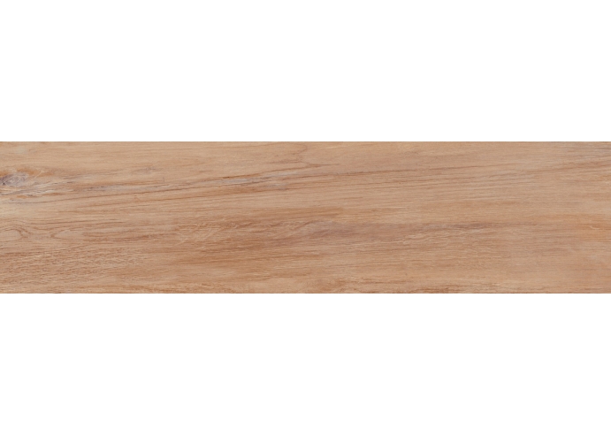 PAV 22,5X90 ARG LANDES MIEL PRCO   
