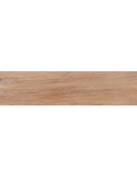PAV 22,5X90 ARG LANDES MIEL PRCO   