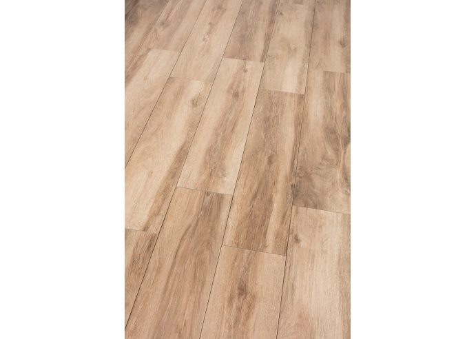 <p>Forever Roble 25x100</p>
