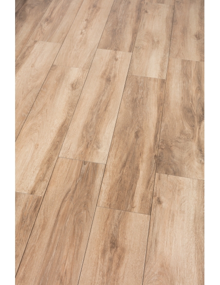 <p>Forever Roble 25x100</p>
