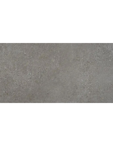 Rodas Gris Mate 60x120
