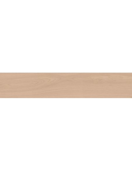 Oxford Roble C2 N Plus