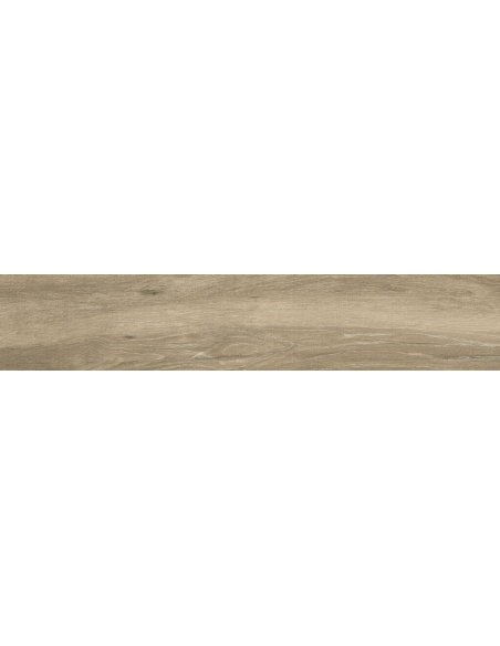 Oslo Beige C2 N Plus 23x120 