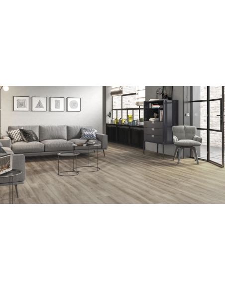 Oslo Beige C2 N Plus 23x120 