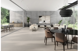 Carpenter Gris Pardo 60x120