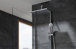 Duchas